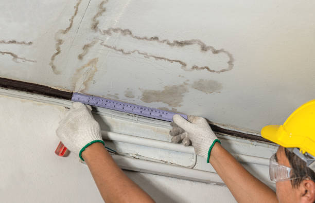 Reliable Sewage Cleanup contractor in Davisburg, MI by Water Damage Irwin